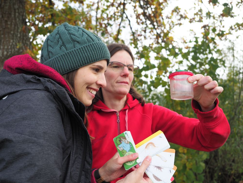 Beratung und Weiterbildung